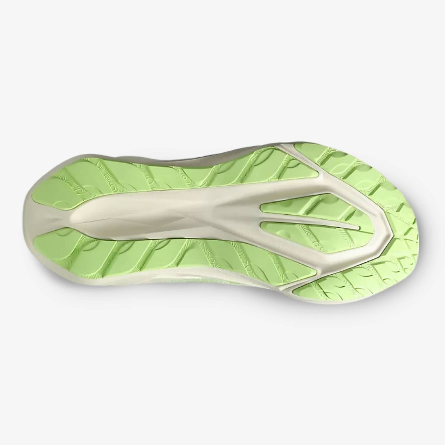 Tenis Asics Novablast 5 TR Nature Hombre