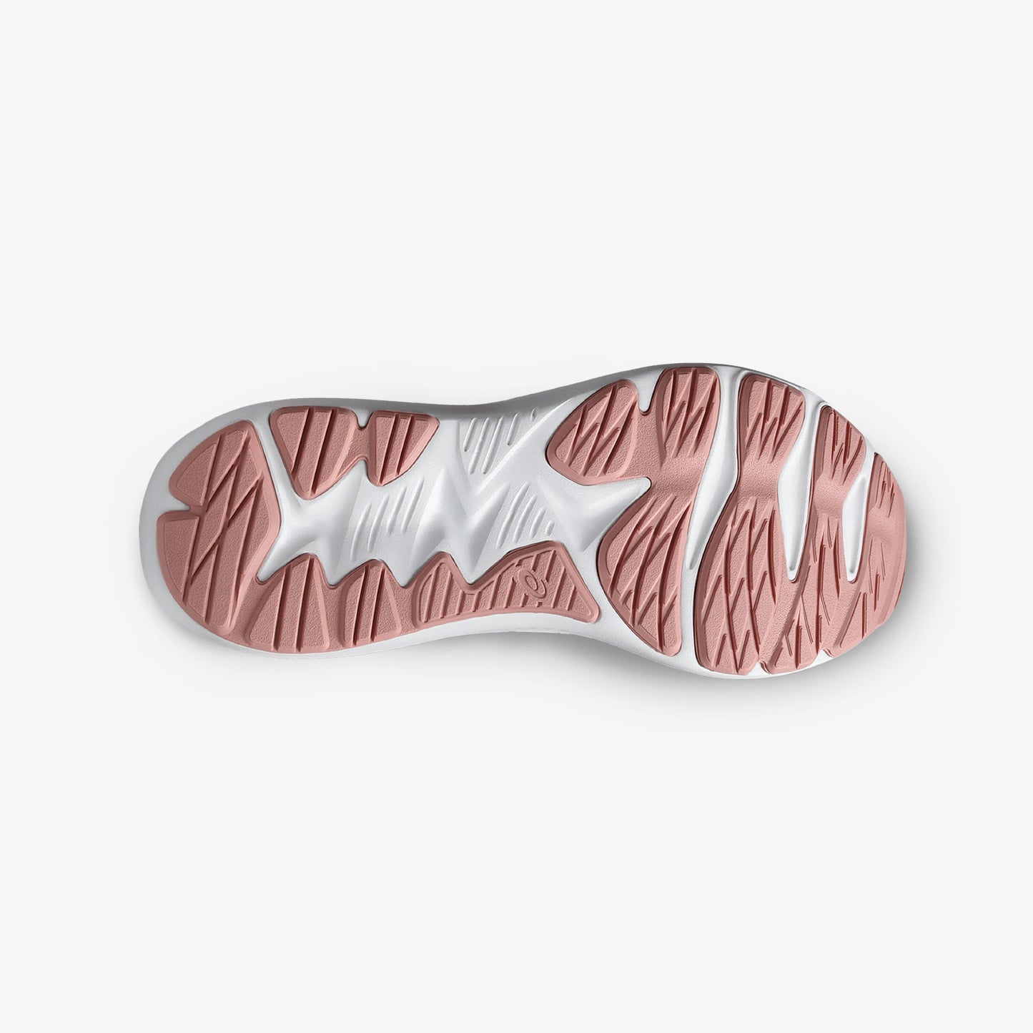 Tenis Asics Jolt 5 Mujer