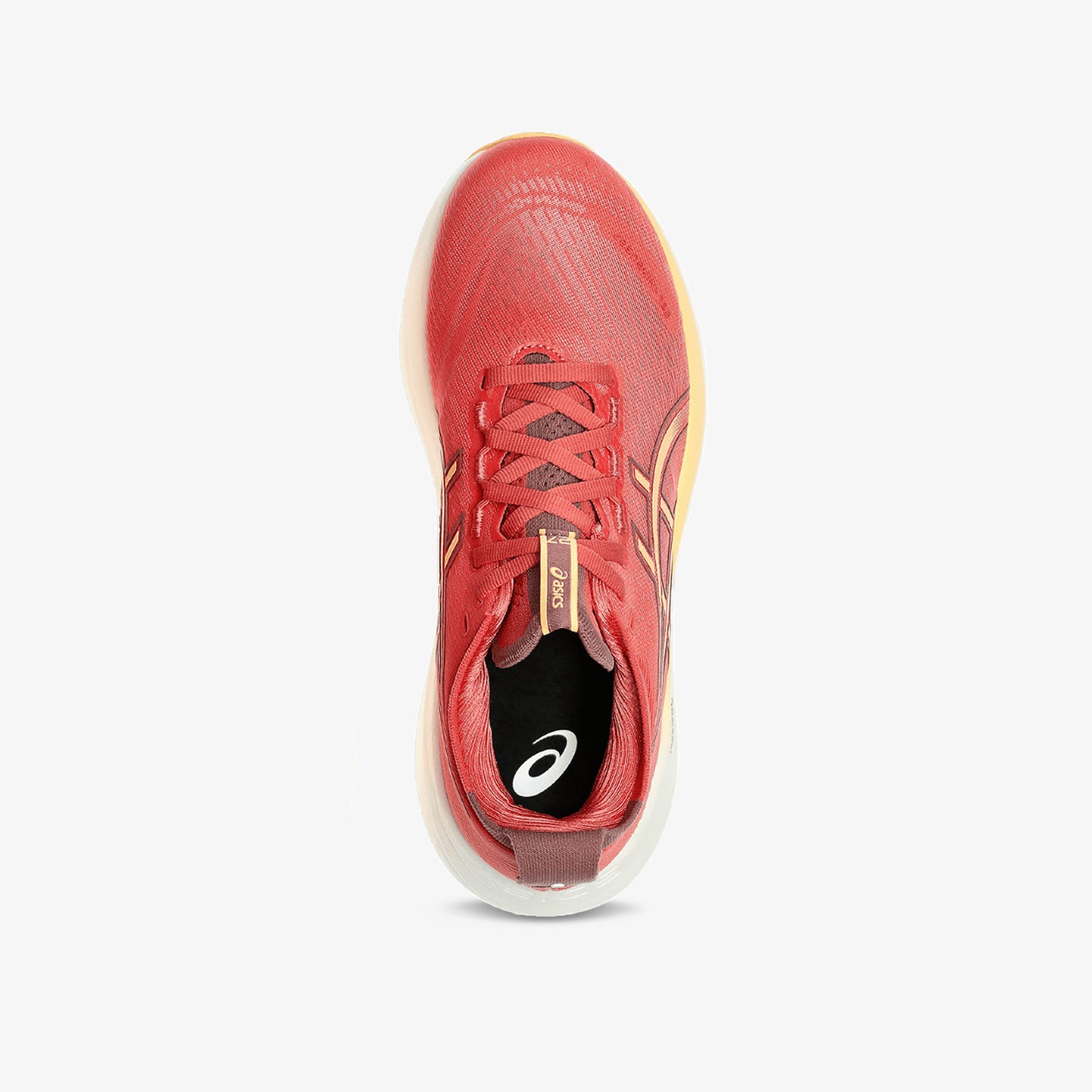 Tenis Asics Gel-Nimbus 27 Mujer