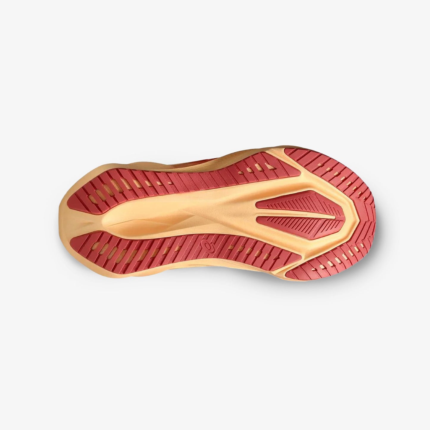 Tenis Asics Novablast 5 Mujer Rojo