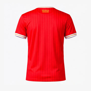 Camiseta Reebok America 26 Hombre Roja