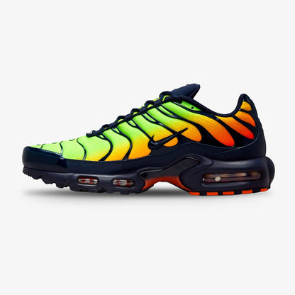 Tenis Nike Air Max Plus Hombre Multicolor