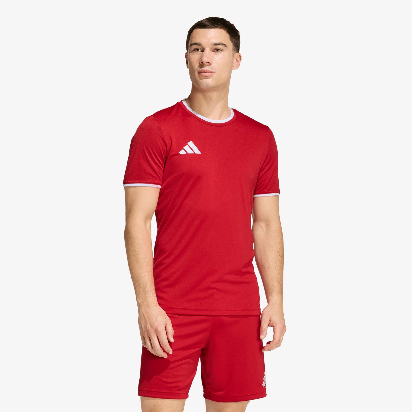 Camiseta Adidas Entrada 26 Hombre Rojo