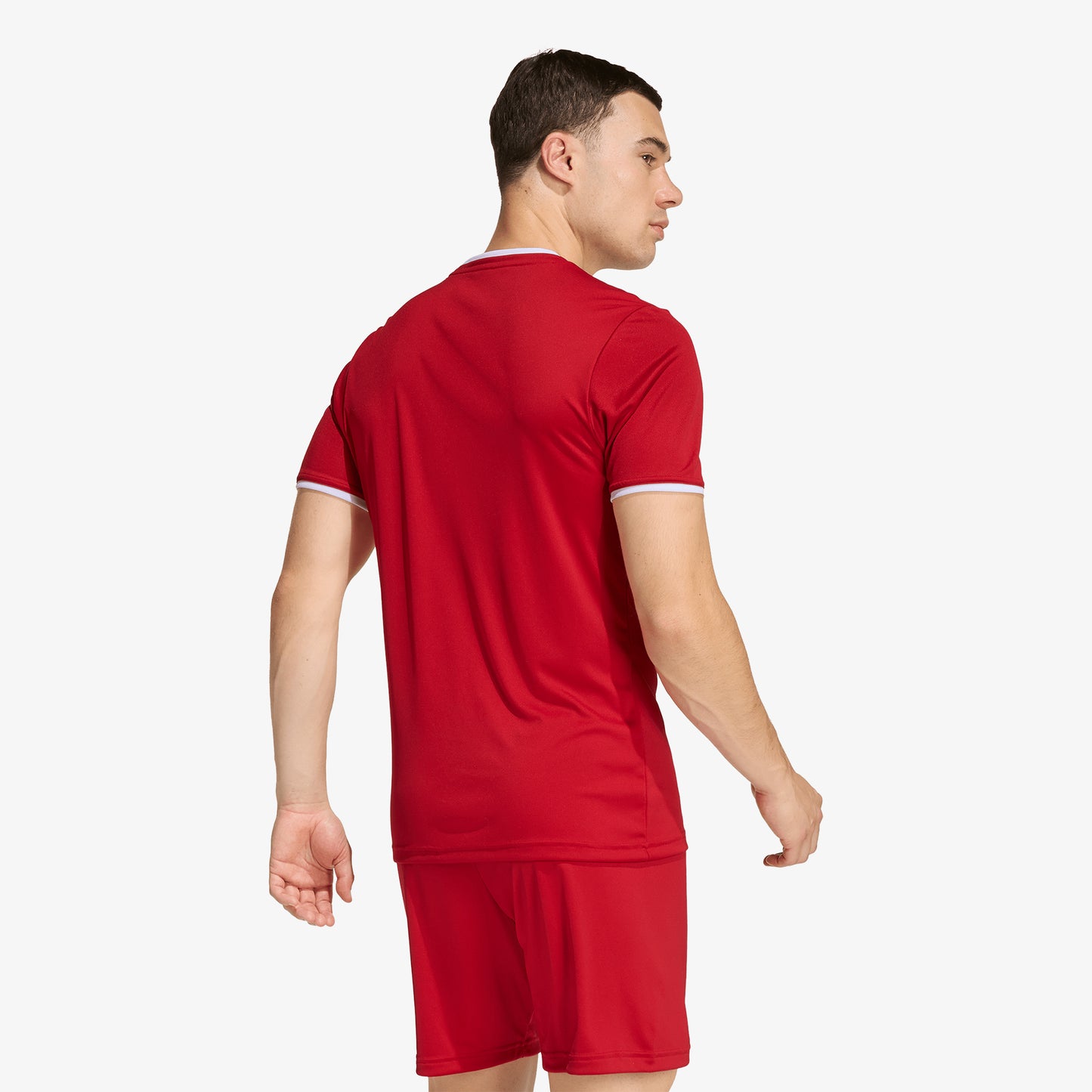 Camiseta Adidas Entrada 26 Hombre Rojo