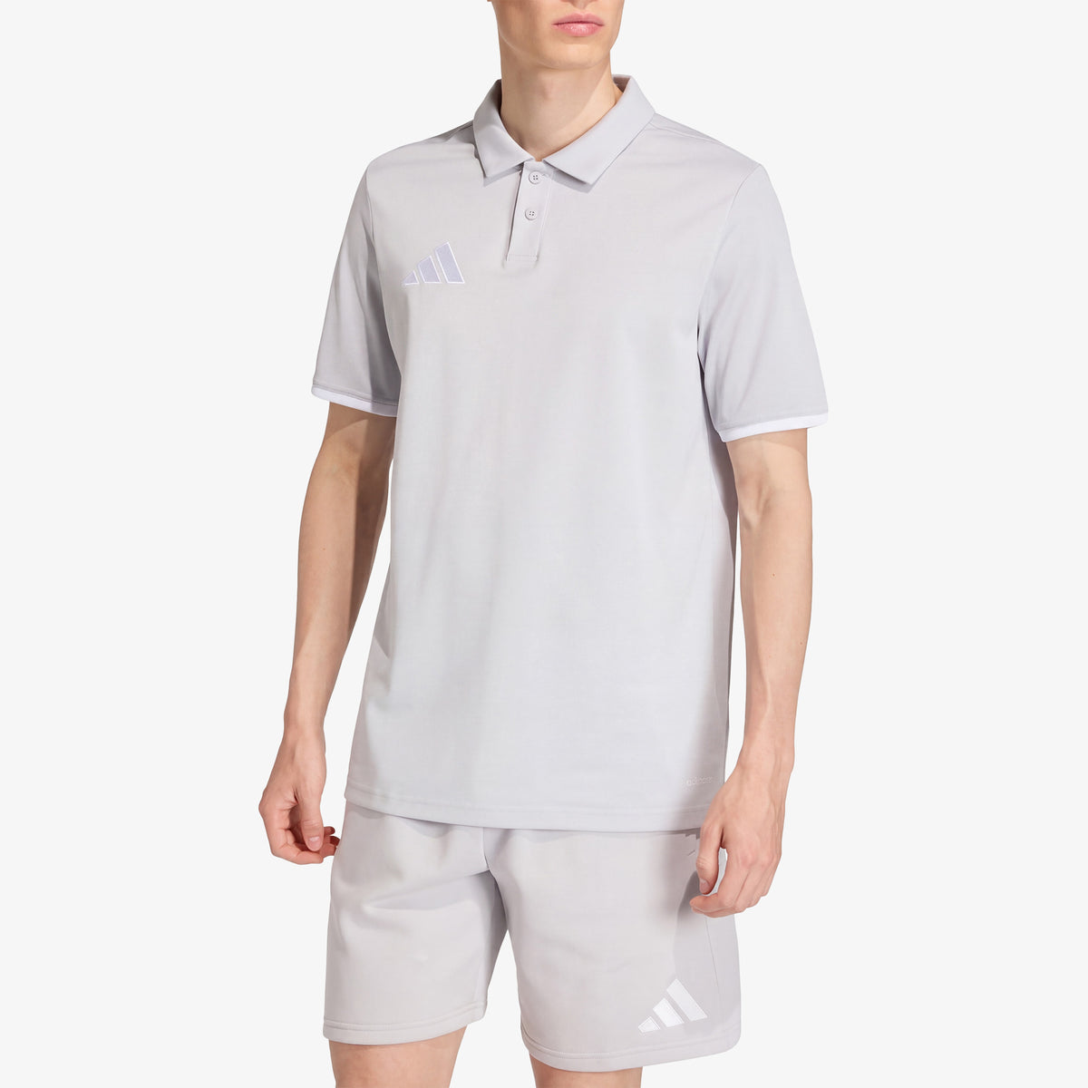 Camiseta Polo Adidas Entrada26 Hombre Gris